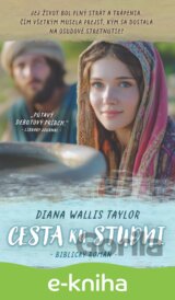 Cesta ku studni