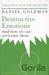 Destructive Emotions