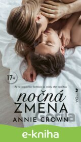 Nočná zmena