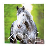 Koně 2025 - nástěnný kalendář
