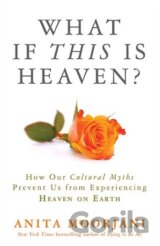What If This is Heaven?