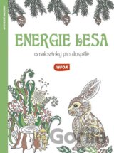 Energie lesa