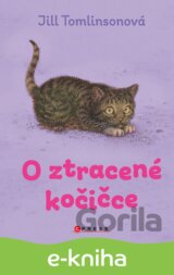 O ztracené kočičce
