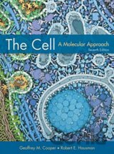 The Cell