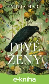 Divé ženy