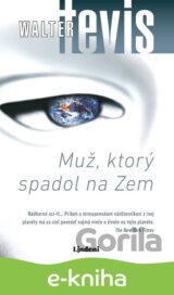 Muž, ktorý spadol na Zem