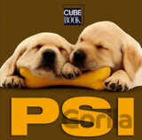 Psi