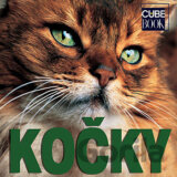 Kočky