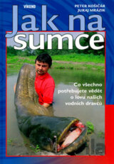 Jak na sumce