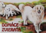 Domáce zvieratá