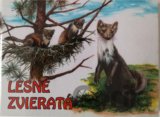 Lesné zvieratá