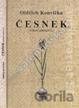 Česnek (Allium sativum L.)