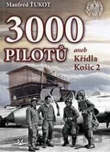 3 000 pilotů