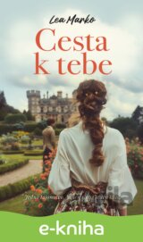 Cesta k tebe