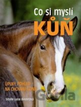Co si myslí kůň