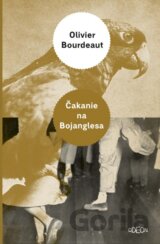 Čakanie na Bojanglesa
