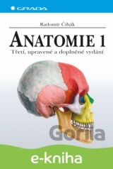 Anatomie 1