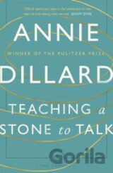 Teaching a Stone to Talk