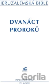 Jeruzalémská bible : Písmo svaté vydané Jeruzalémskou biblickou školou : pracovní vydání