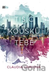 Tisíc kousků tebe