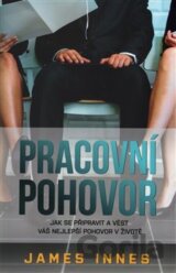 Pracovní pohovor