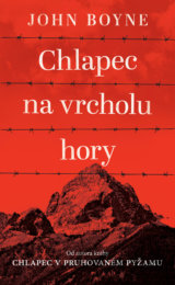Chlapec na vrcholu hory
