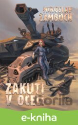 Zakuti v oceli