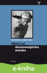 Výklad snů dasainsanalytickou metodou