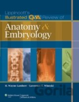 Lippincott`s Illustrated Q&A Review of Anatomy and Embryology