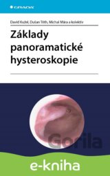 Základy panoramatické hysteroskopie