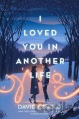 I Loved You in Another Life