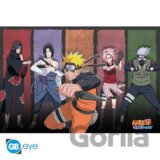 Naruto Shippuden Plagát Maxi: Naruto & Allies