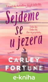 Sejdeme se u jezera