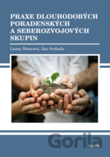 Praxe dlouhodobých poradenských a seberozvojových skupín