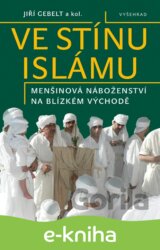Ve stínu islámu