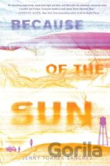 Because of the Sun