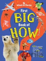 First Big Book of How