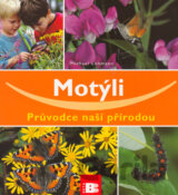 Motýli