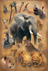 Svet divokých zvierat