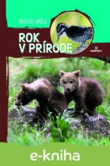 Rok v prírode