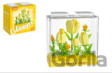 Tulipány