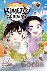 Demon Slayer Kimetsu Academy Vol 3
