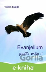 Evanjelium podľa mňa II