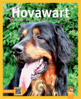 Hovawart