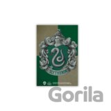 Harry Potter Magnet - Slizolin