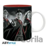 Harry Potter Hrnček