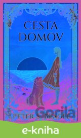 Cesta domov