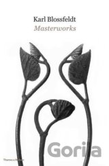 Karl Blossfeldt: Masterworks