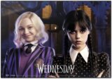 Podložka Netflix - Wednesday: Wednesday & Enid