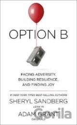 Option B